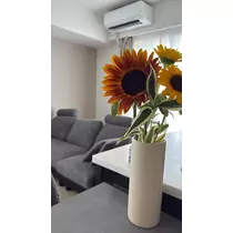 美波 あいか