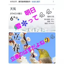 美穂