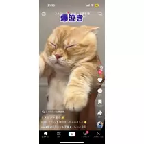 みらい