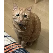 神永 莉聖
