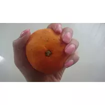 らん