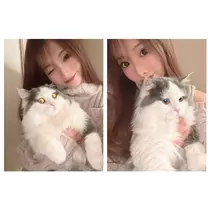 一条 みさき