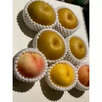 桐島 りゅう