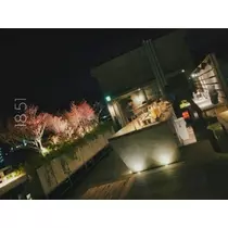 荒木 ナツミ