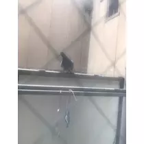 水咲 愛梨