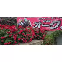 りか