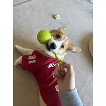足立 はな
