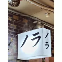 まる