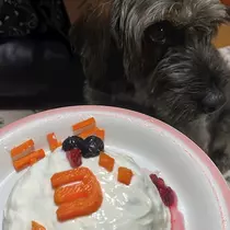 マイ