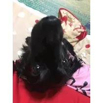 りえ