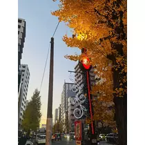 はるか