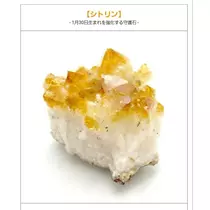 エミ （スタッフ）