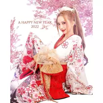一条 葵
