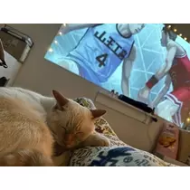 足立 はな