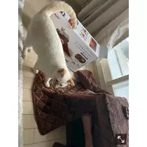足立 はな
