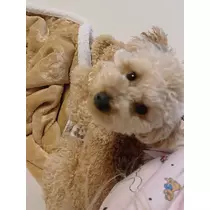 もえ