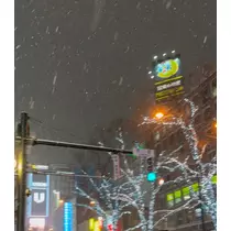 檀 れん