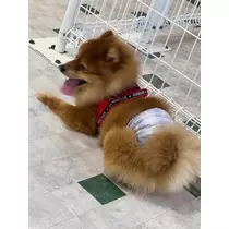 かの