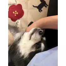 美月