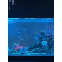 なるみ