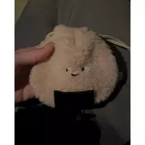 緑 四葉