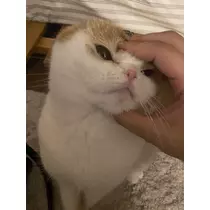 るな