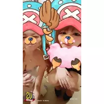 姫花