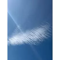 成海 まお