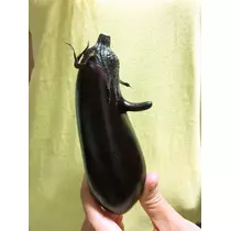 ミリア