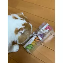 れみ