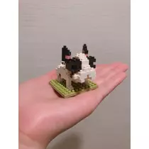 さくら