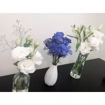さくら