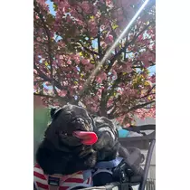 綾瀬 優