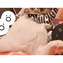あこ