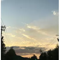藤咲 りな