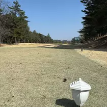 ひな