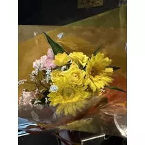 白石 愛莉