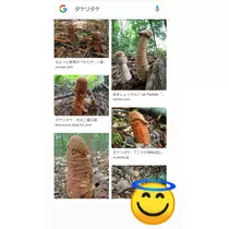紫音
