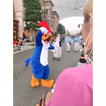姫花