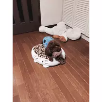 如月 凛
