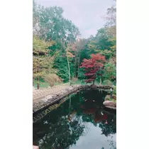 優衣