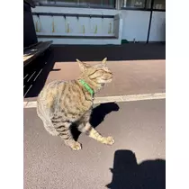 七海 結愛