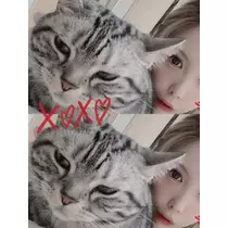 夢乃 サラ