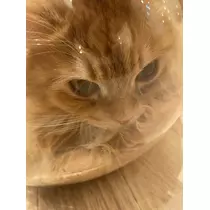 まりん
