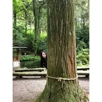 未来