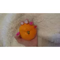 らん