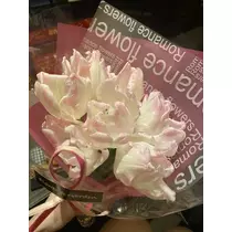 白石 愛莉