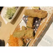 猫羽 のん