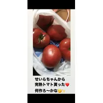 諸星 海