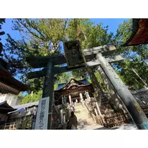 芹奈